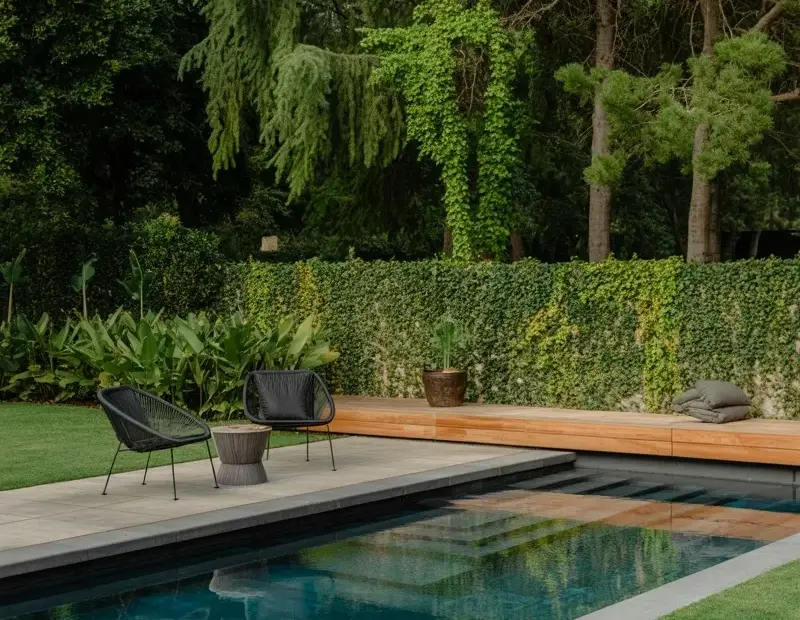 How to design a modern black swimming pool with privacy hedges