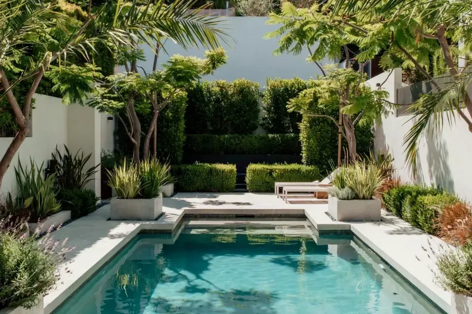 Cozy Backyard Pool Ideas for a Downtown Orlando Oasis